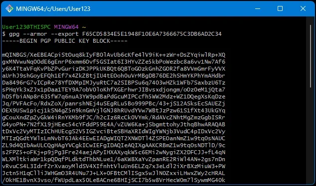 Export ASCII public key