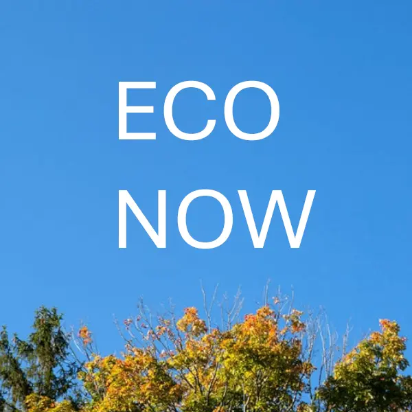 Eco Now
